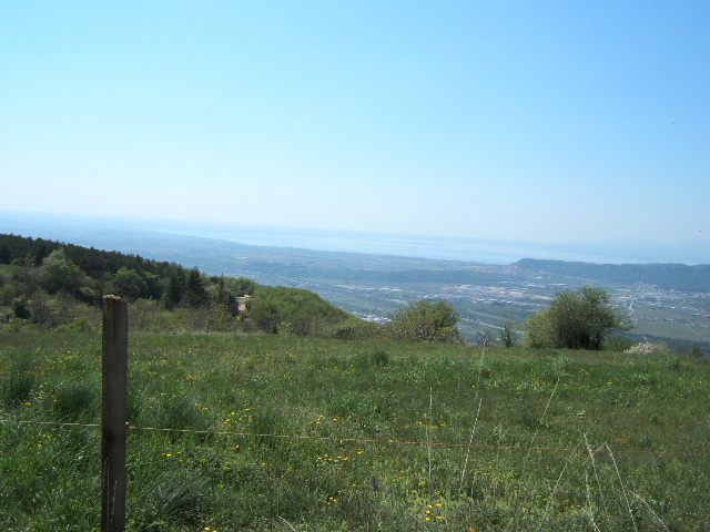 Clicca l'immagine per chiudere questa finestra