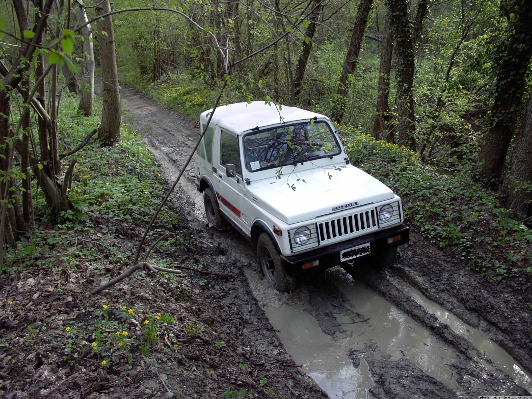 Zukimania fotogallery >> 
 ============== 
suzuki in mezzo al bosco
Keywords: bosco pozza