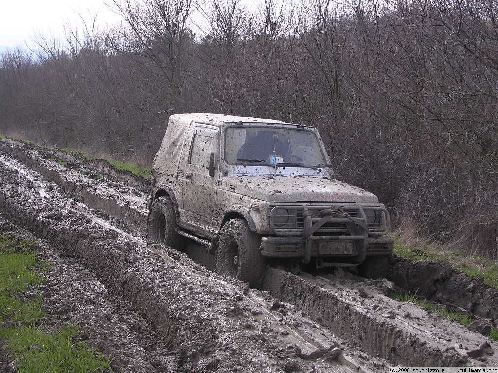 calitri 2008