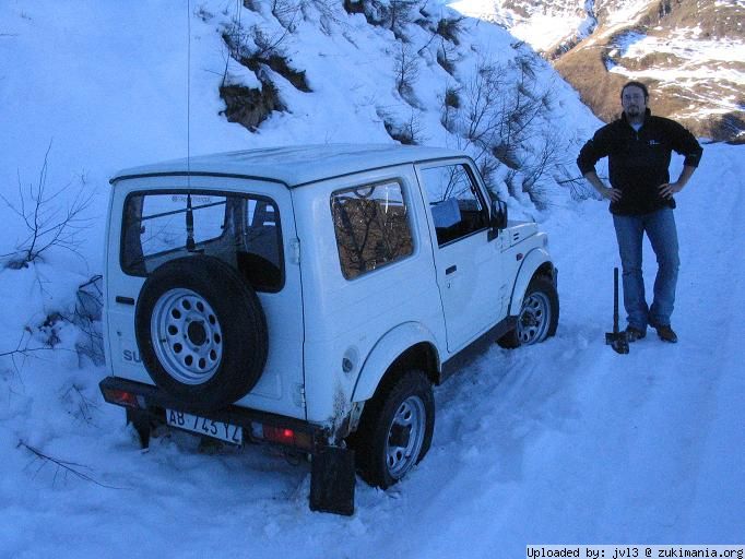 Piantato nella neve