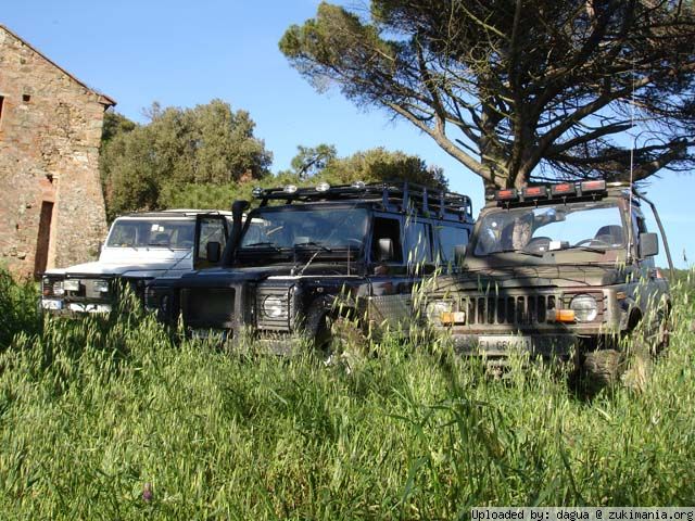 Zukimania fotogallery >> 
 ============== 
campagna
una girata tranquilla in campagna
