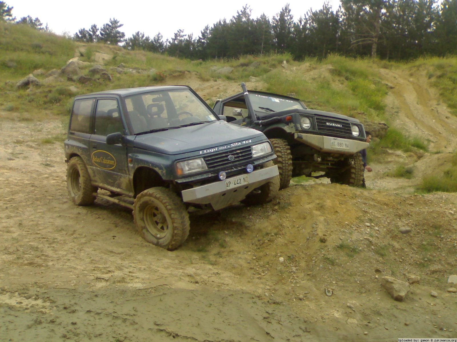 Zukimania fotogallery >> 
 ============== 
lupi della sila 4x4
ecco i lupi della sila 4x4
