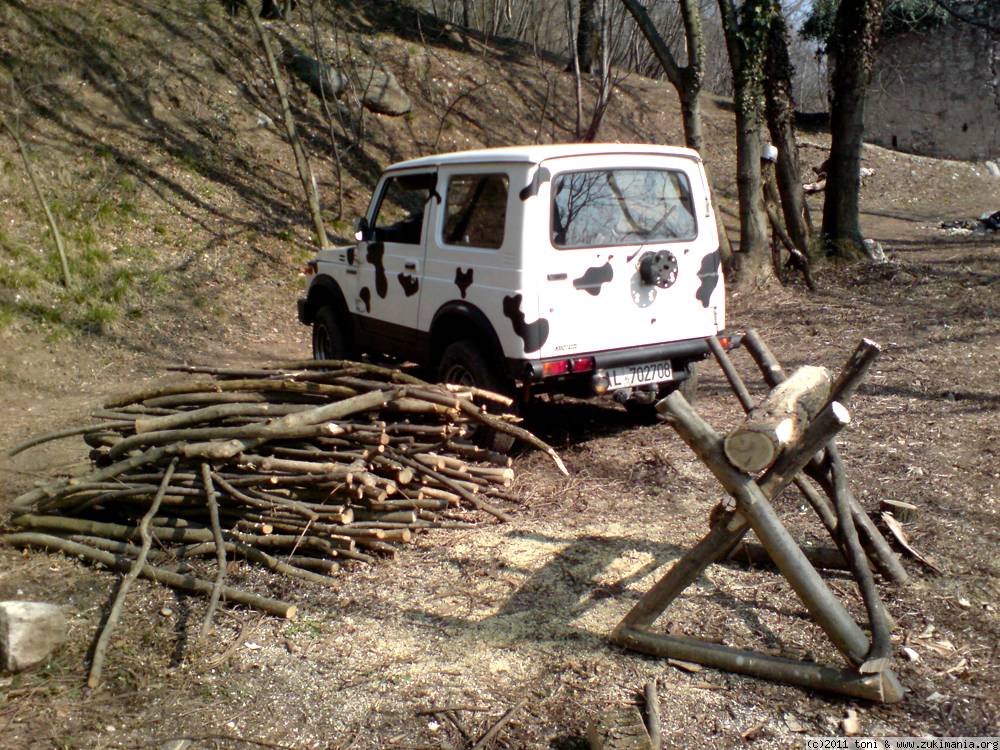 Zukimania fotogallery >> 
 ============== 
Mucca al lavoro
Il sedere della mia mucca mentre costruisco un banchetto per tagliare la legna
