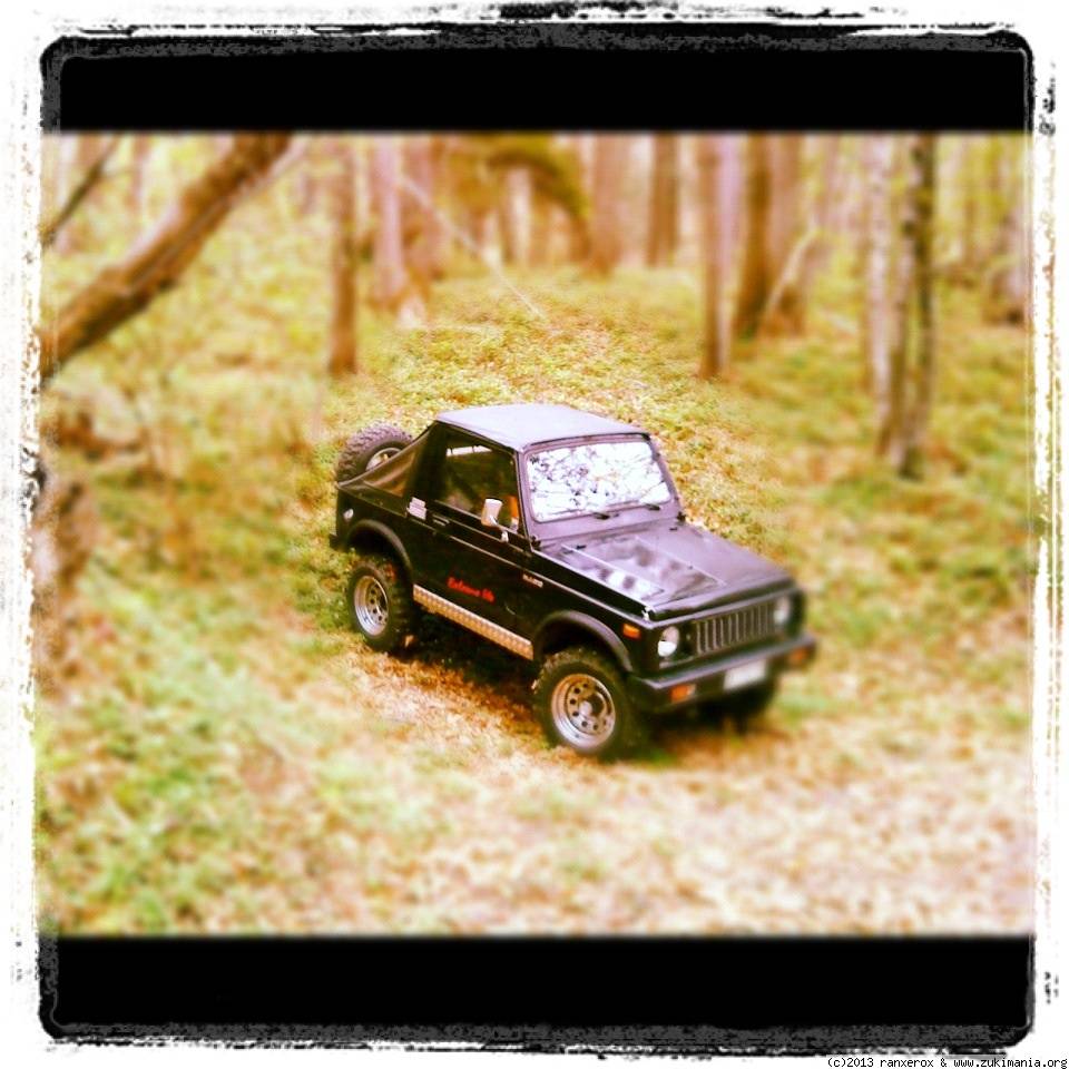 Zukimania fotogallery >> 
 ============== 
My Zuki in the forrest...
